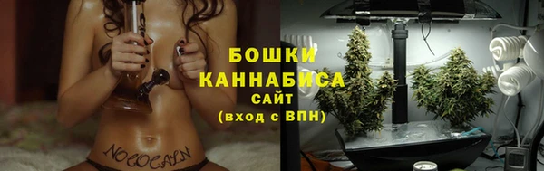 мескалин Новодвинск