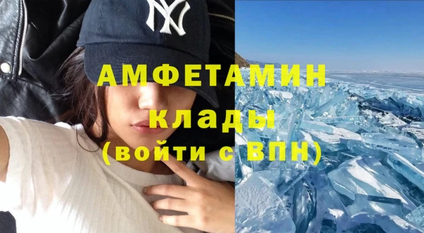 шишки Новозыбков