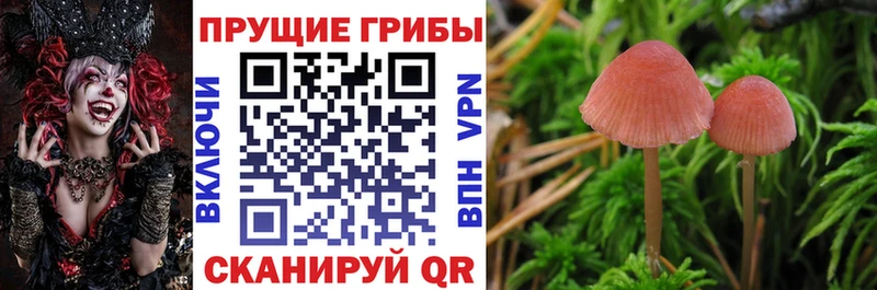 Галлюциногенные грибы мухоморы  Красный Холм 